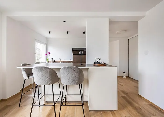 1 Bedroom Flat 55m2 In The